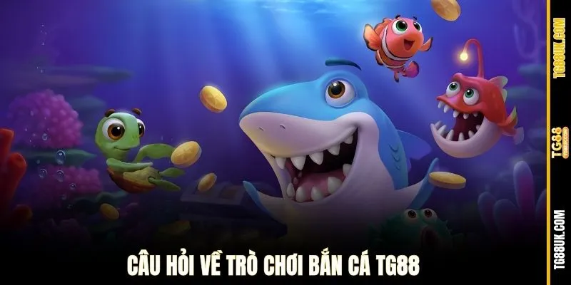 Câu hỏi về trò chơi bắn cá 