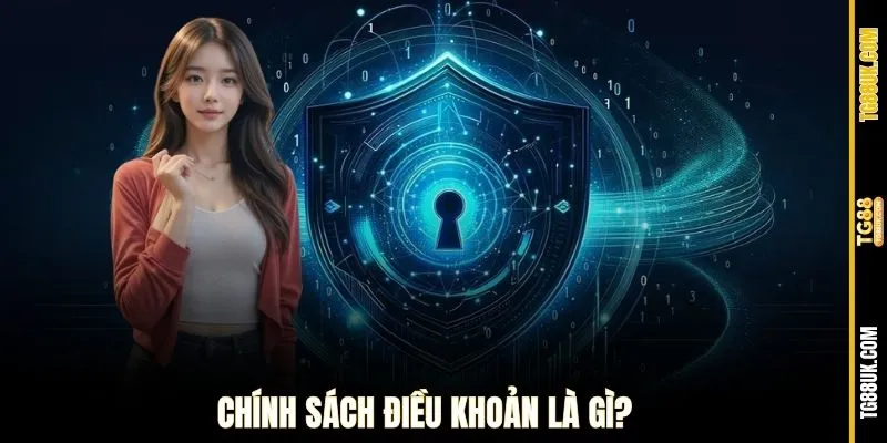 Chính sách điều khoản là gì?