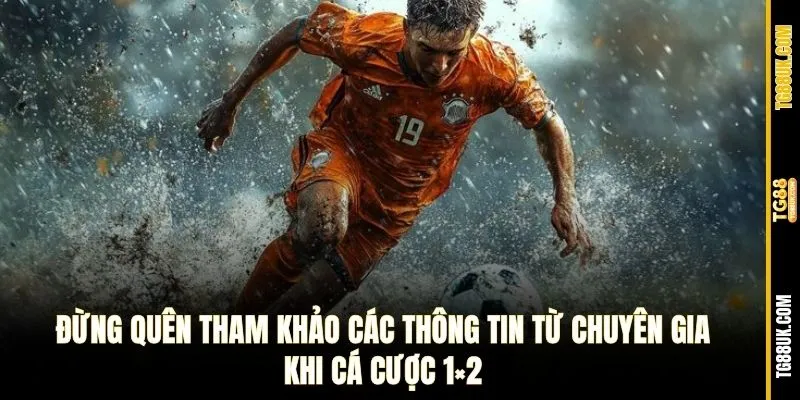 Đừng quên tham khảo các thông tin từ chuyên gia khi cá cược 1×2